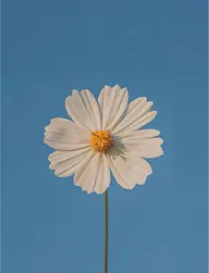 🌿‬似合わせカット＋髪質改善カラー🌿‬