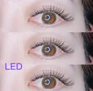 【バインドロンク】 120束9980円＋LED1500