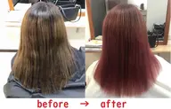 カラー(ファッションカラー、白髪染め)
