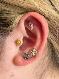 耳つぼジュエリー＊片耳6粒(両耳12粒)