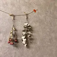 〈ネイルをお休みされる方〉オフコース（ケア付）🌿