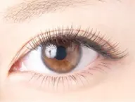 ＊新規＊国産最高級セーブル１４０本