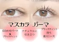 🌈マスカラパーマ