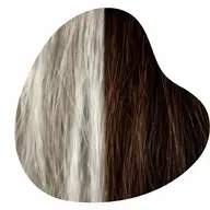 アルカリカラーorヘアマニキュア 白髪染め【リタッチ】