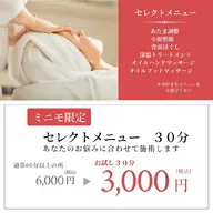セレクトメニューお試し　３０分