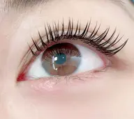 フラットラッシュ60本