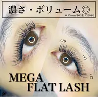 🏵️メガフラットラッシュ100束（200本）