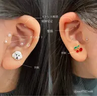 💎耳つぼジュエリー💎両耳12個❤耳ツボ👂