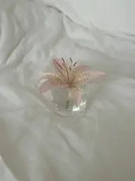 ご相談(日にち、お時間)