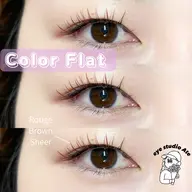 LEDカラーフラットラッシュ🩵写真モデル🍇120本　¥4500