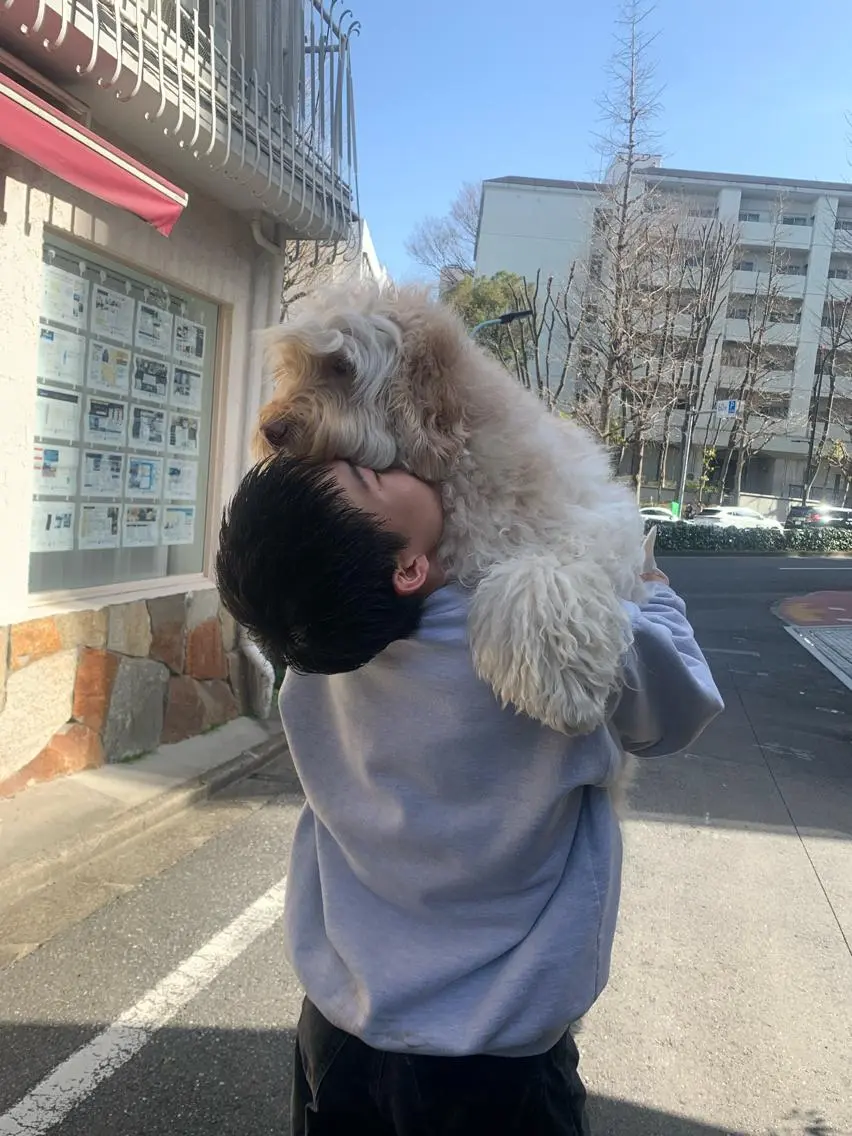 杉山 憂人のヘアスタイル