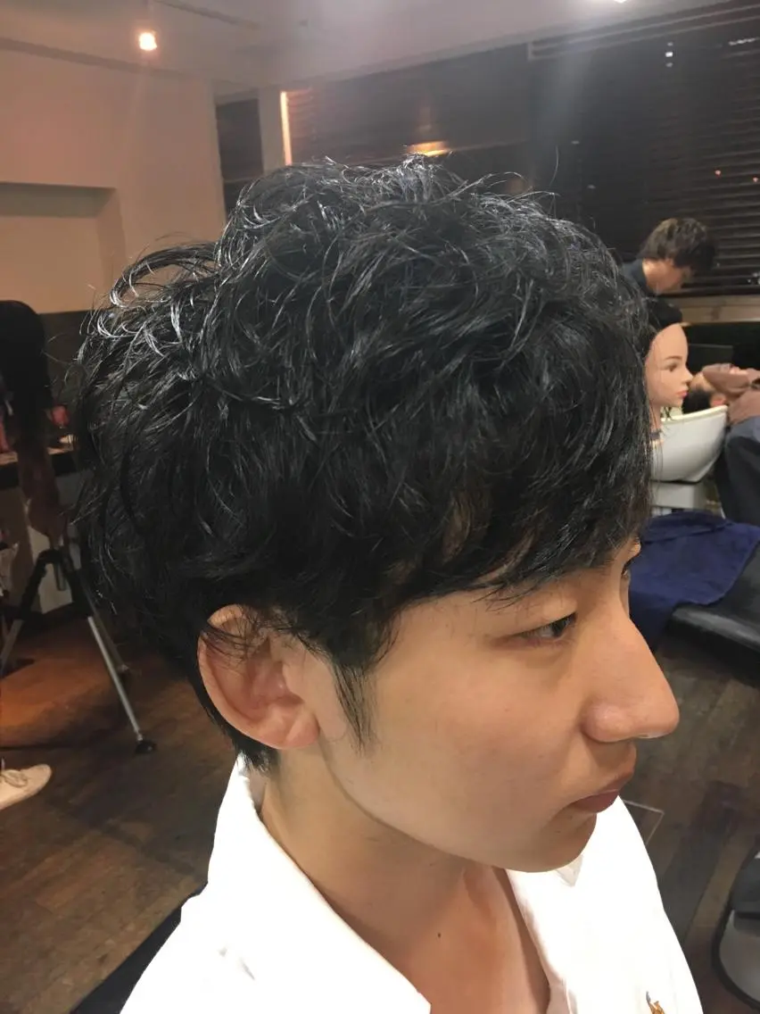 ショート パーマ メンズ 向井 優汰のヘアスタイル