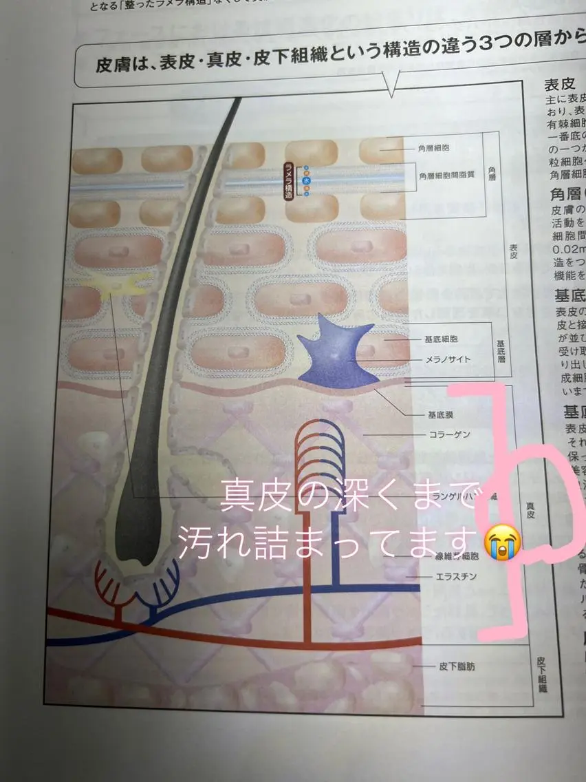 枝廣 貴子のエステ・リラクイメージ