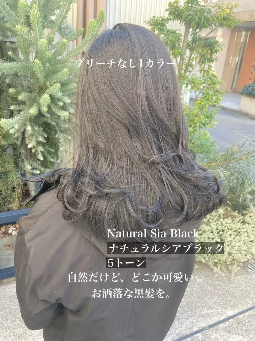 カラー ヘアカラー トリートメント ブリーチなしで 全国から予約殺到♡のヘアスタイル