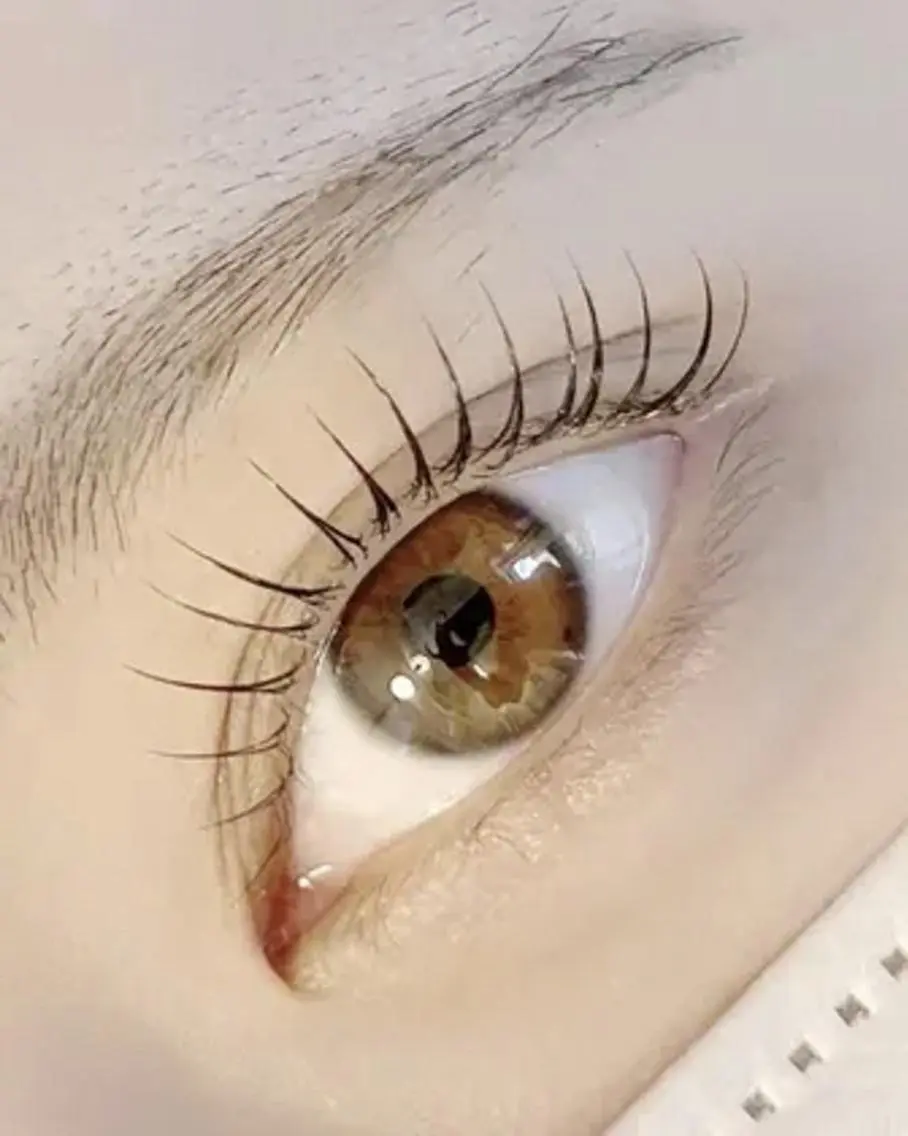 マツエク・マツパ マツパ lieu pré eyelashの眉毛・アイブロウイメージ