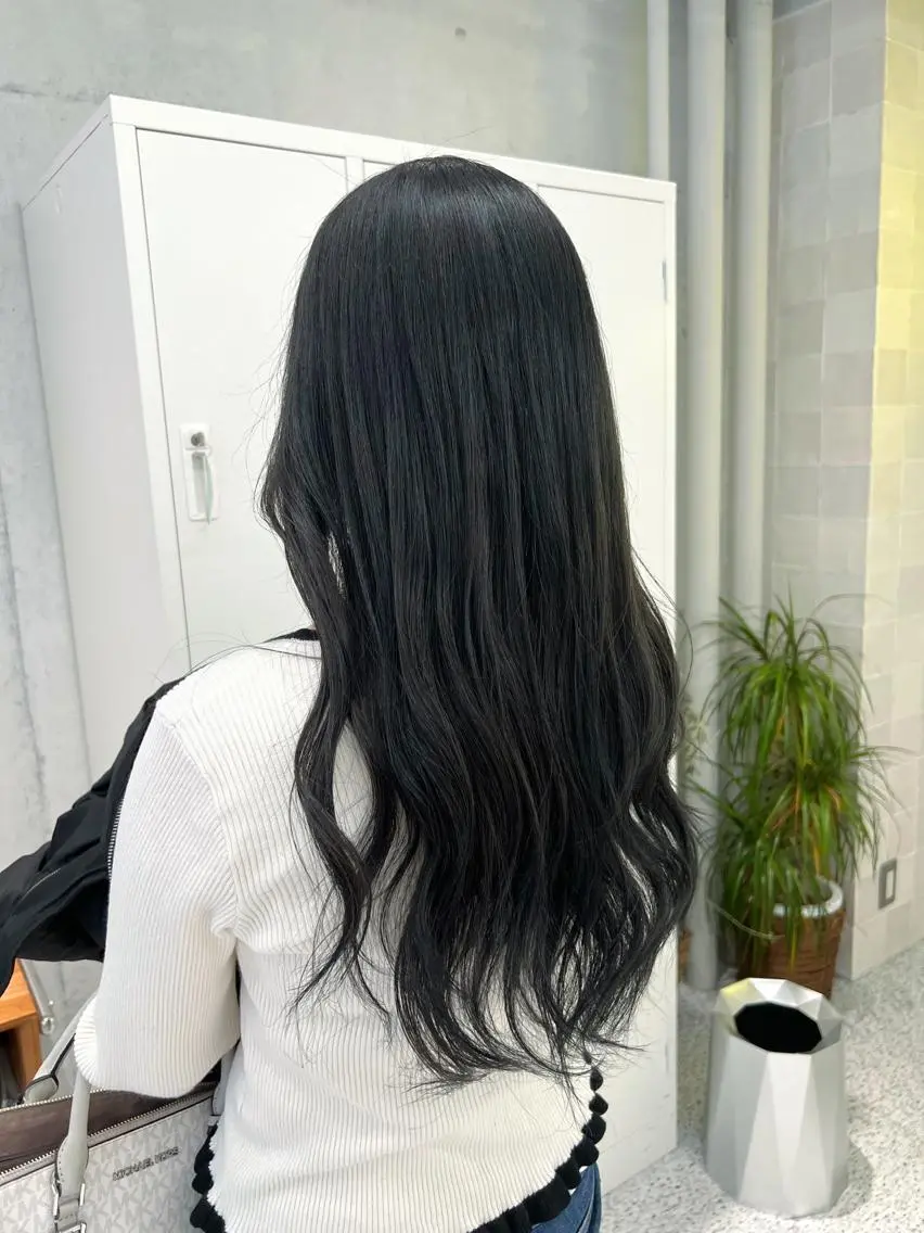 ロング カラー 黒髪 ブルーカラー ブルーブラック 韓国ヘア☁️ mitsukiのヘアスタイル