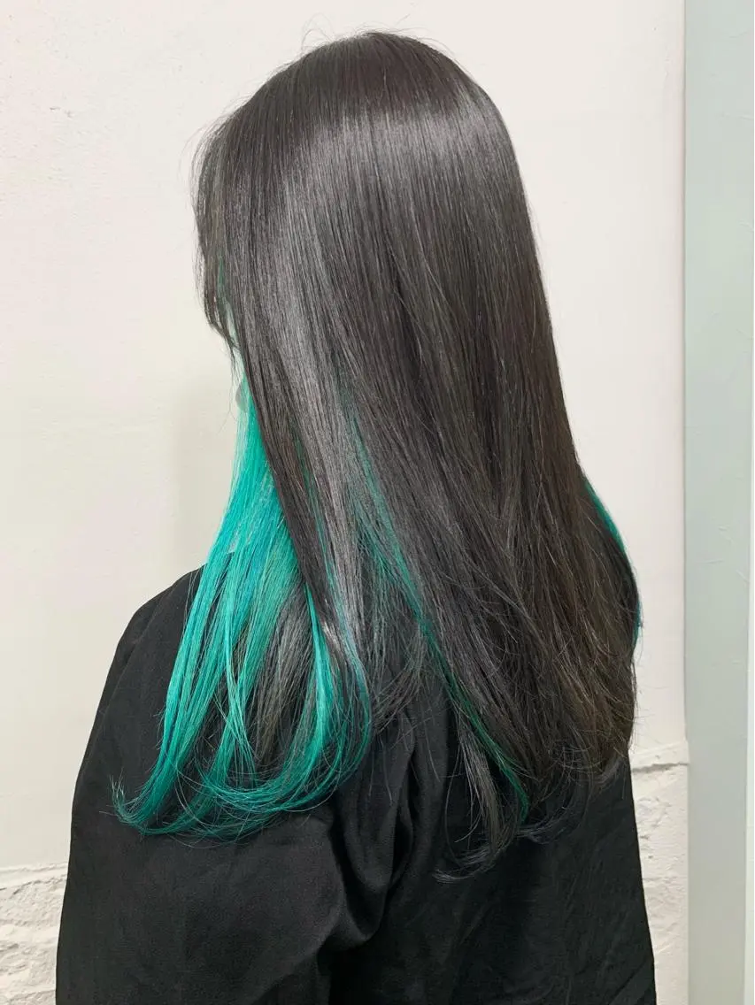 ロング カラー 黒髪 ブルーカラー ブルーブラック インナーカラー 盛れる顔周りカット ♥️韓国ヘア"ちぇるのヘアスタイル