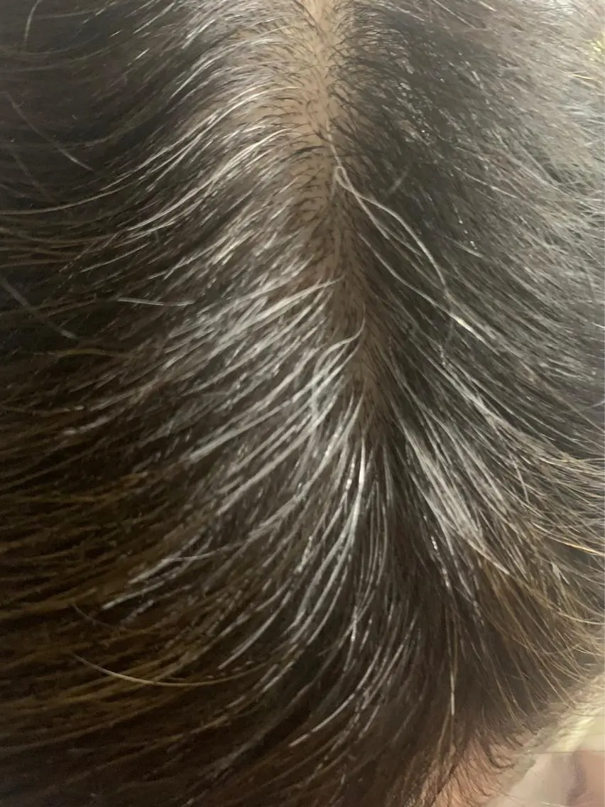 カラー 【急募6/2】 キサヌキミワのヘアスタイル