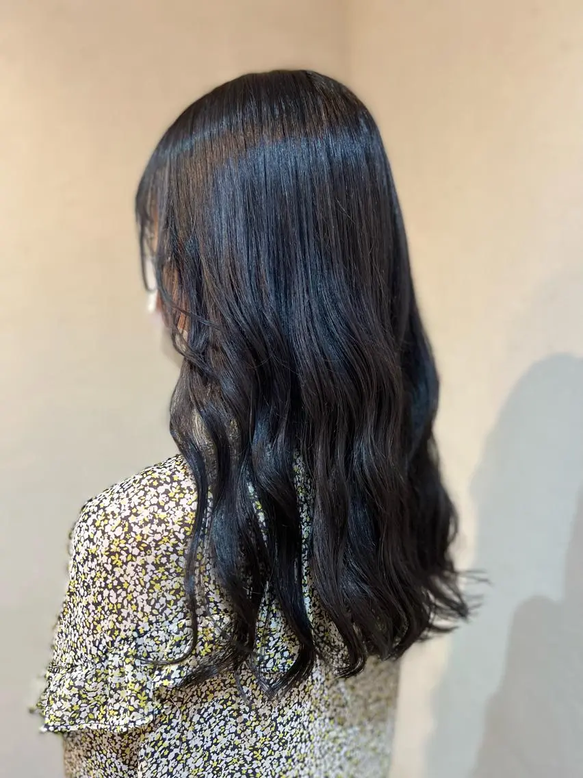 カラー 黒髪 ブルーカラー ブルーブラック ラベンダーカラー yeol / 川内 🪷のヘアスタイル
