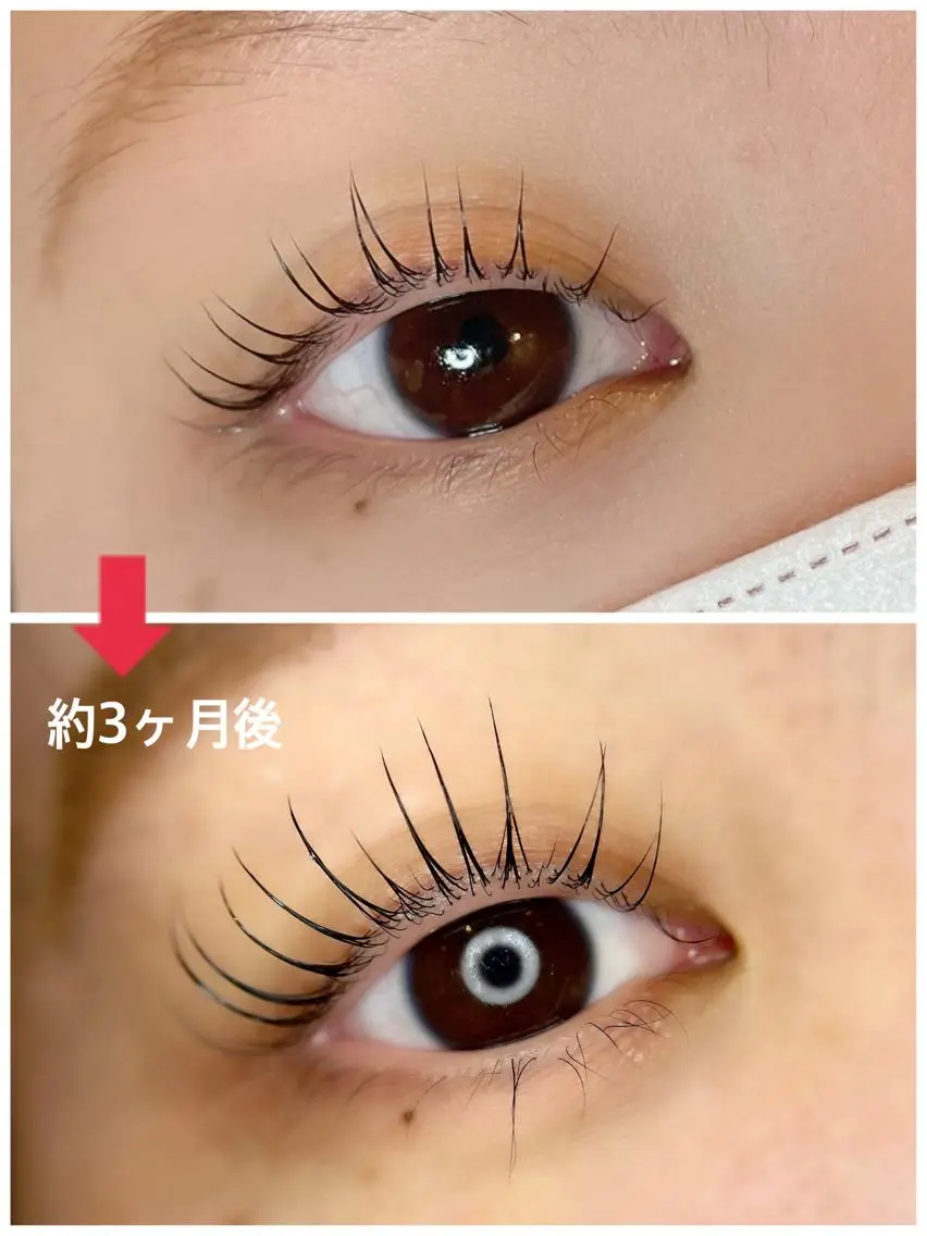 マツエク・マツパ フラットラッシュ ナチュラル パリジェンヌラッシュリフト まつげパーマ 一重×まつ毛パーマ マツパ 💕丸島 夏名🐰🍀のマツエク・マツパデザイン