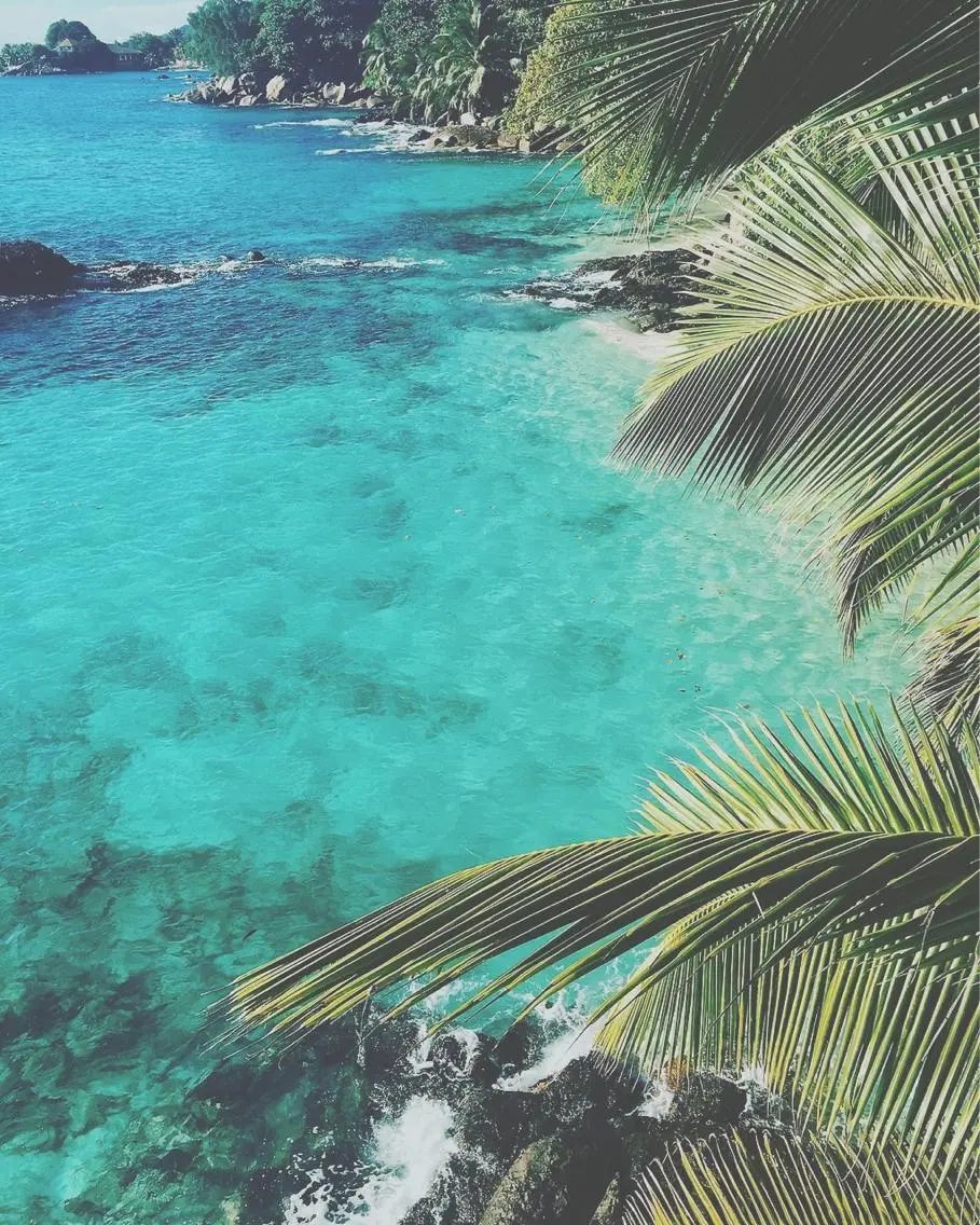 𝐘𝐎𝐒𝐇𝐈 𝐌𝐈🌞🏝のマツエク・マツパデザイン