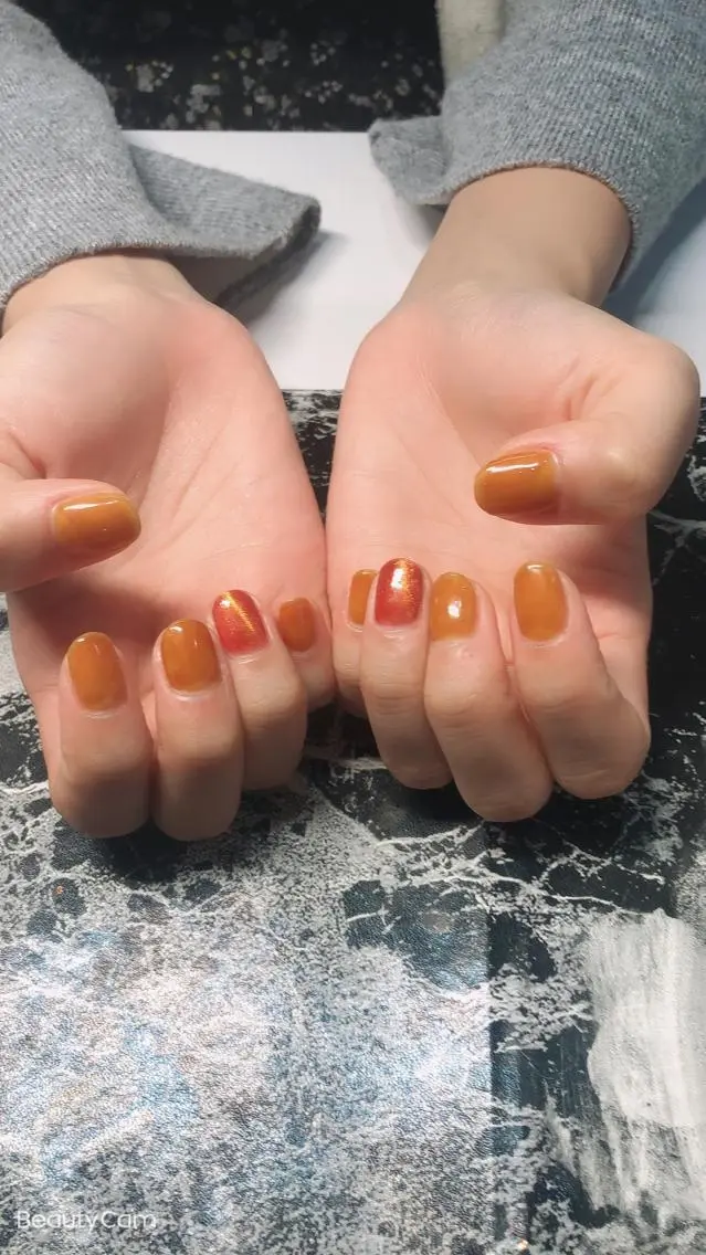 ネイル ジェルネイル マグネットネイル ワンカラーネイル ✨アン ミユ✨のネイルデザイン