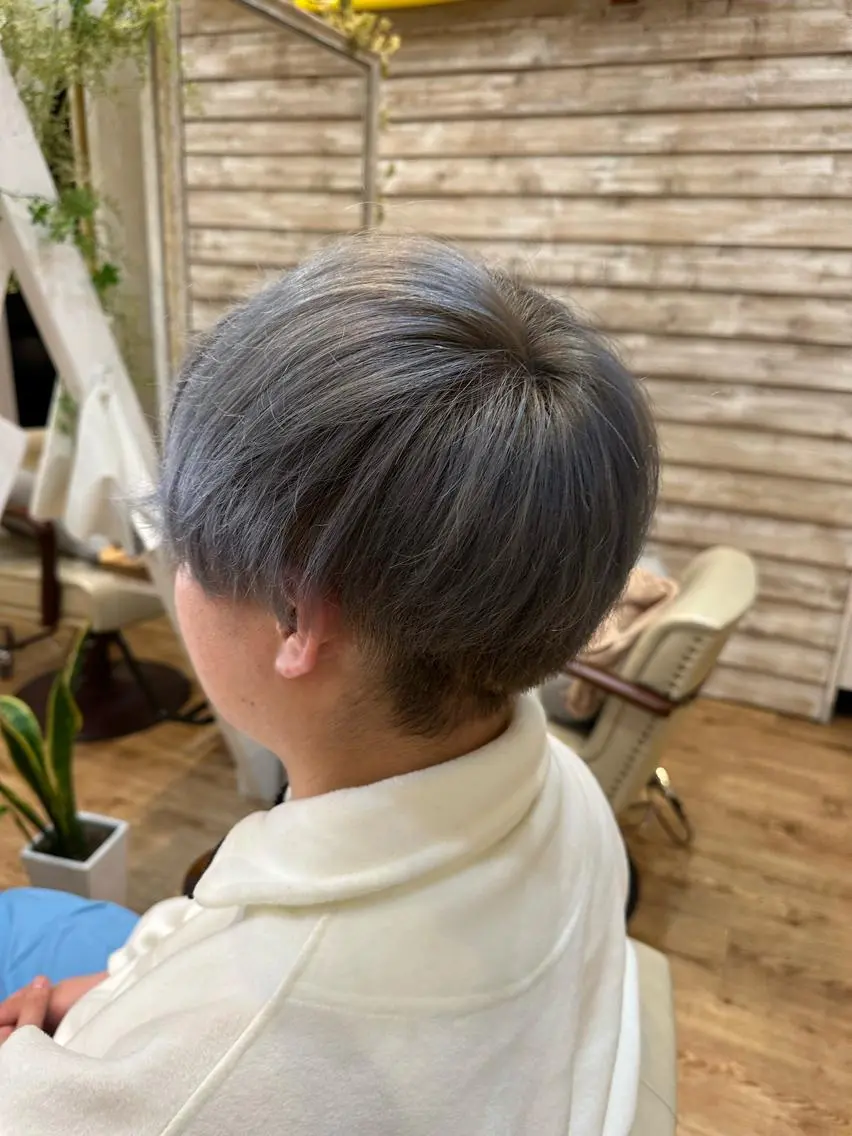 カラー シルバー ボブ、レイヤー、 ハイトーン、古淵のヘアスタイル