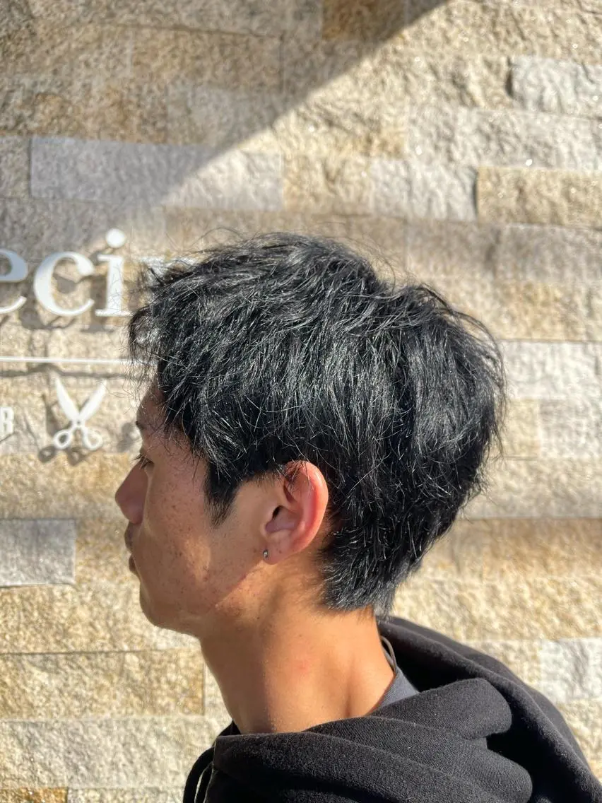ショート カット 川田 仁のヘアスタイル