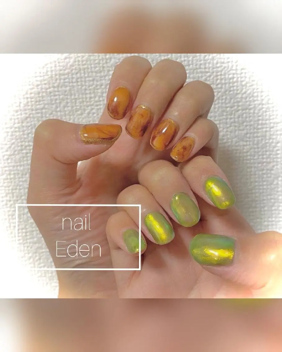 ネイル オーロラネイル べっ甲ネイル 持ち込み Eden ♾️のネイルデザイン