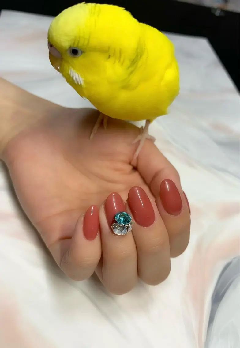 ネイル Mg Nailのネイルデザイン