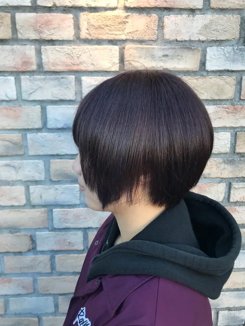 ショート カラー ヘアアレンジ ブラウンカラー バイオレットカラー バイオレットブラウン 縮毛矯正 烏山 達也のヘアスタイル