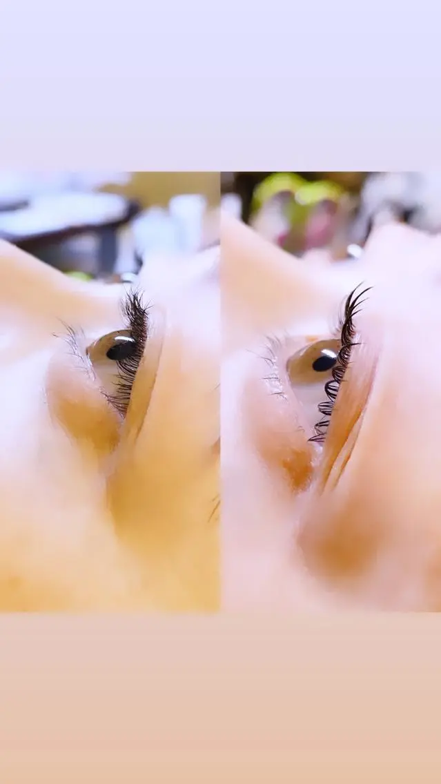 マツエク・マツパ 一重×まつ毛パーマ ロニセラ アイラッシュのマツエク・マツパデザイン