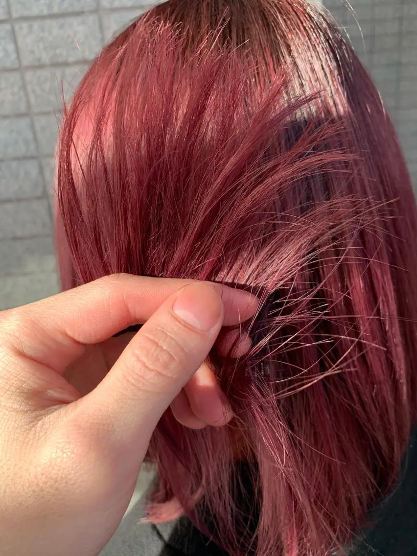 ミディアム カラー ピンクカラー カット ヘアカラー トリートメント 早坂 裕真のヘアスタイル