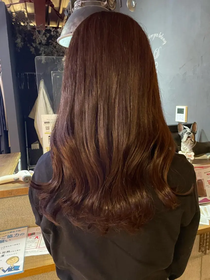 カラー ブラウンカラー 隅内 桃香のヘアスタイル