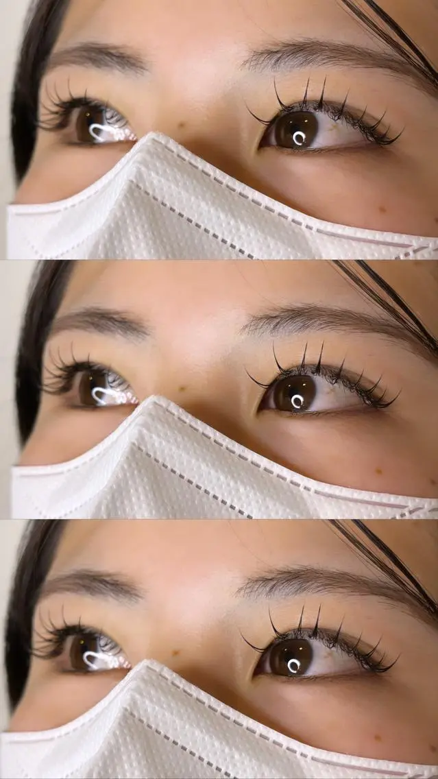 マツエク・マツパ Dカール ナチュラル sui yuiの眉毛・アイブロウイメージ