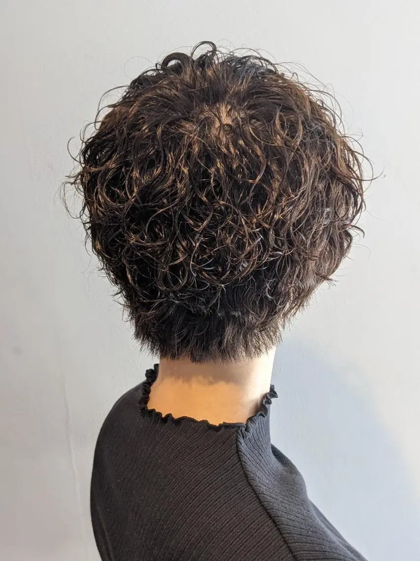ショート パピヨンロゼ 髪質改善/エクステのヘアスタイル