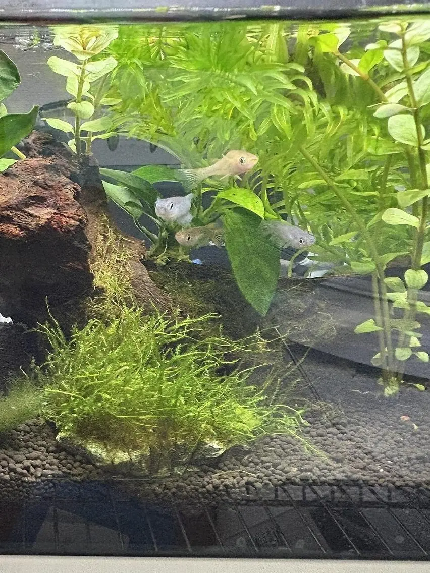 整体サロンkorpo 堺筋本町🌱整体師のエステ・リラクイメージ