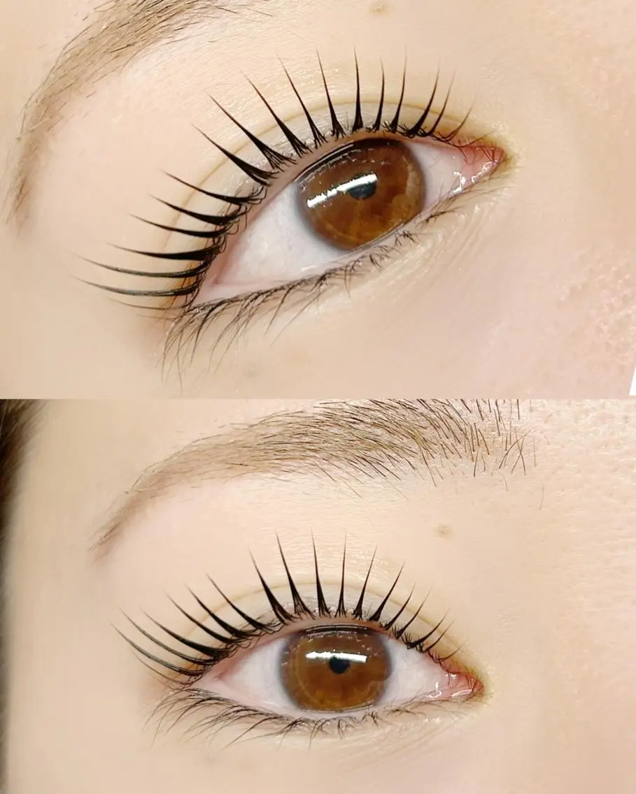 マツエク・マツパ マツパ lieu pré eyelashの眉毛・アイブロウイメージ