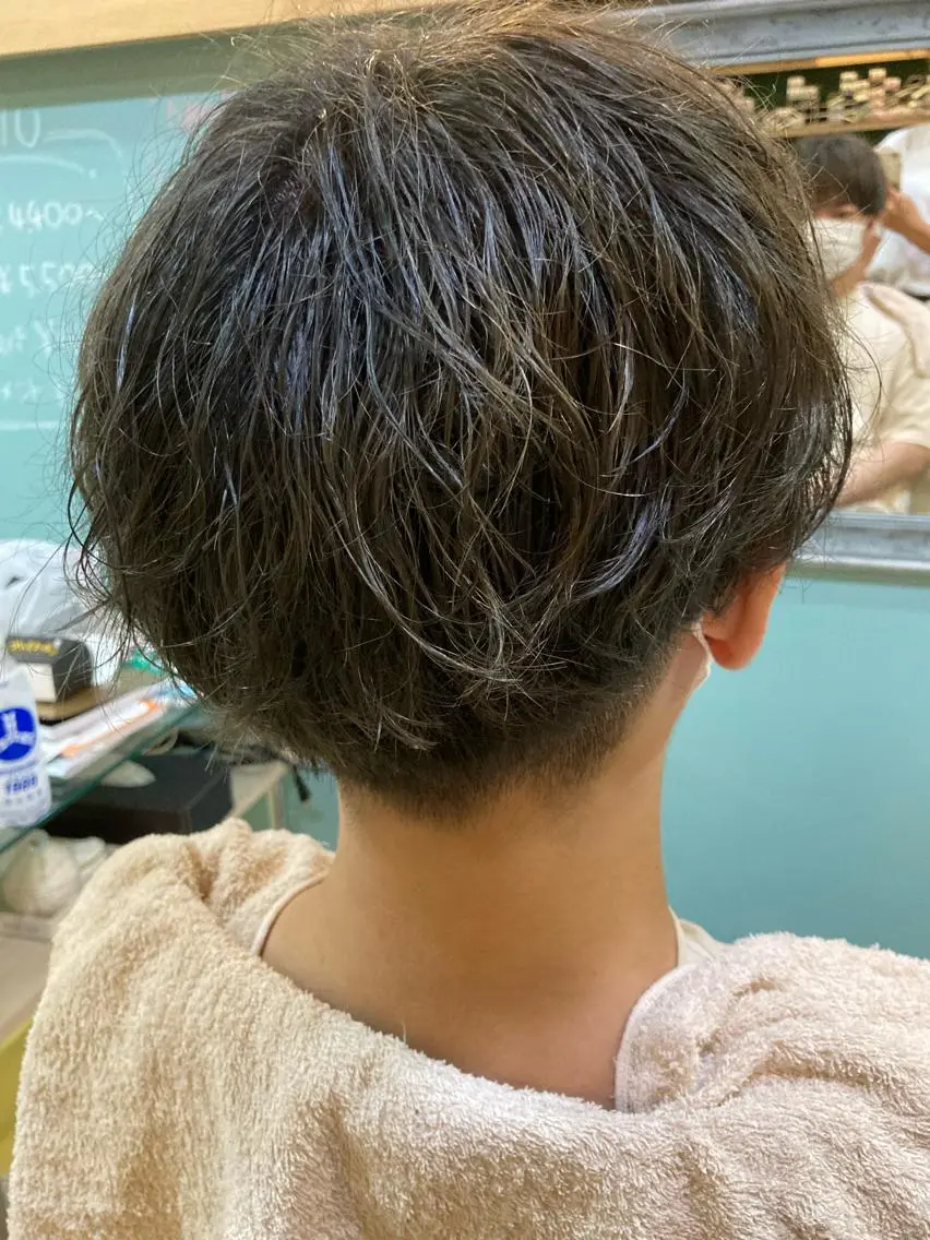 ショート カラー メンズ ダブルカラー 谷川 穂のヘアスタイル