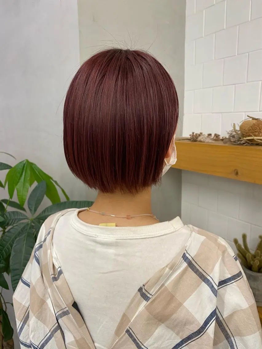 ショート カラー ヘアアレンジ ショートヘア 、 、のヘアスタイル