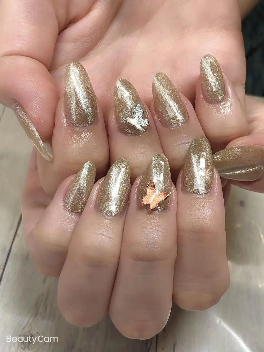 ネイル ジェルネイル マグネットネイル ✨アン ミユ✨のネイルデザイン