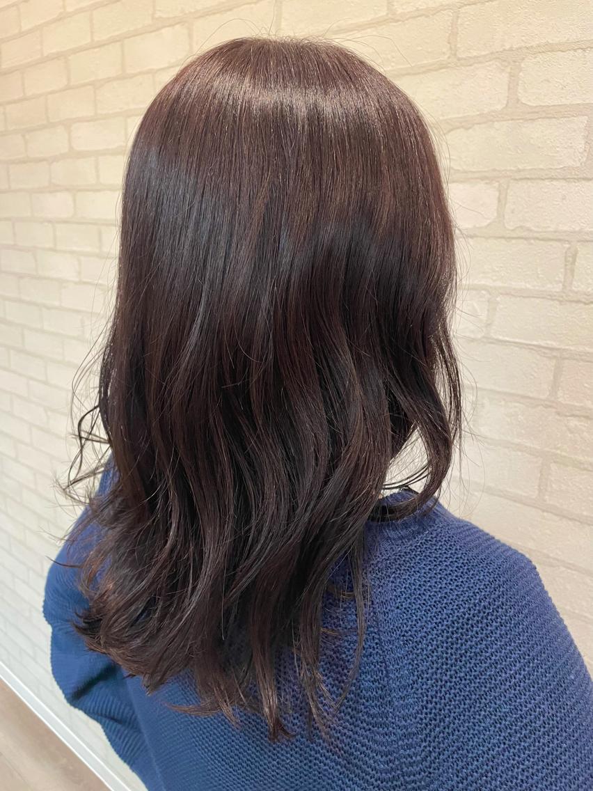 セミロング カット ヘアカラー 🐤 ゆい🐓のヘアスタイル