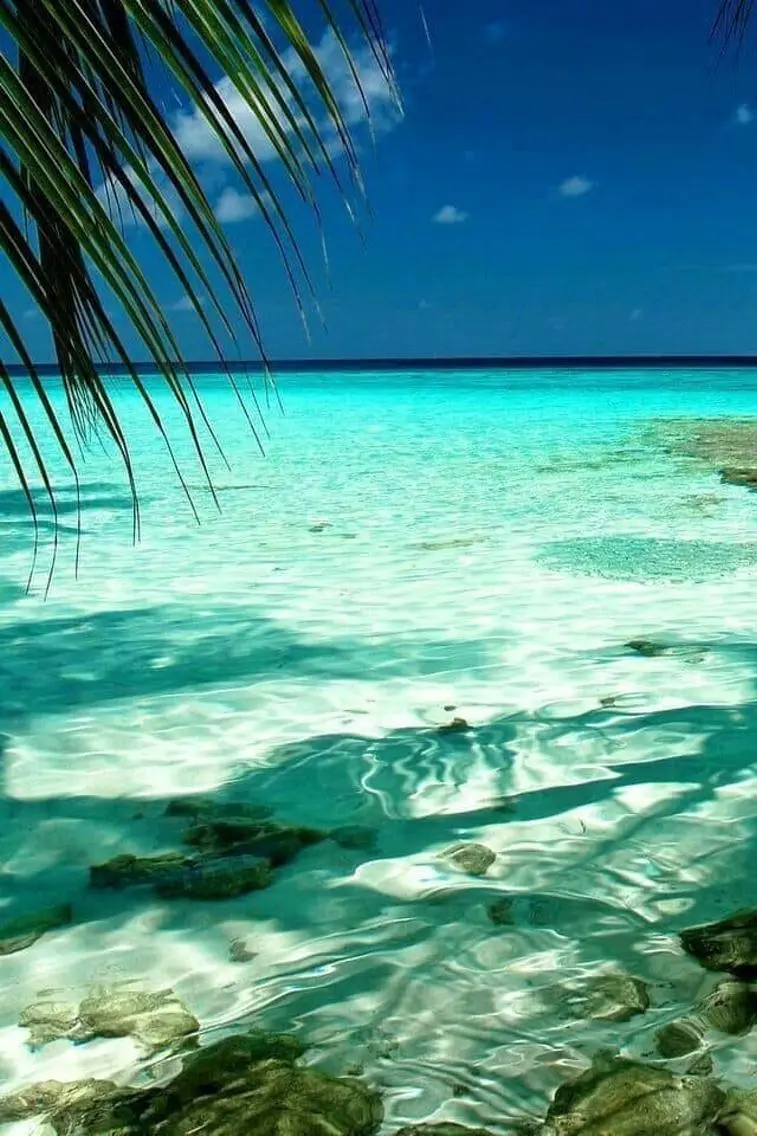 𝐘𝐎𝐒𝐇𝐈 𝐌𝐈🌞🏝のマツエク・マツパデザイン