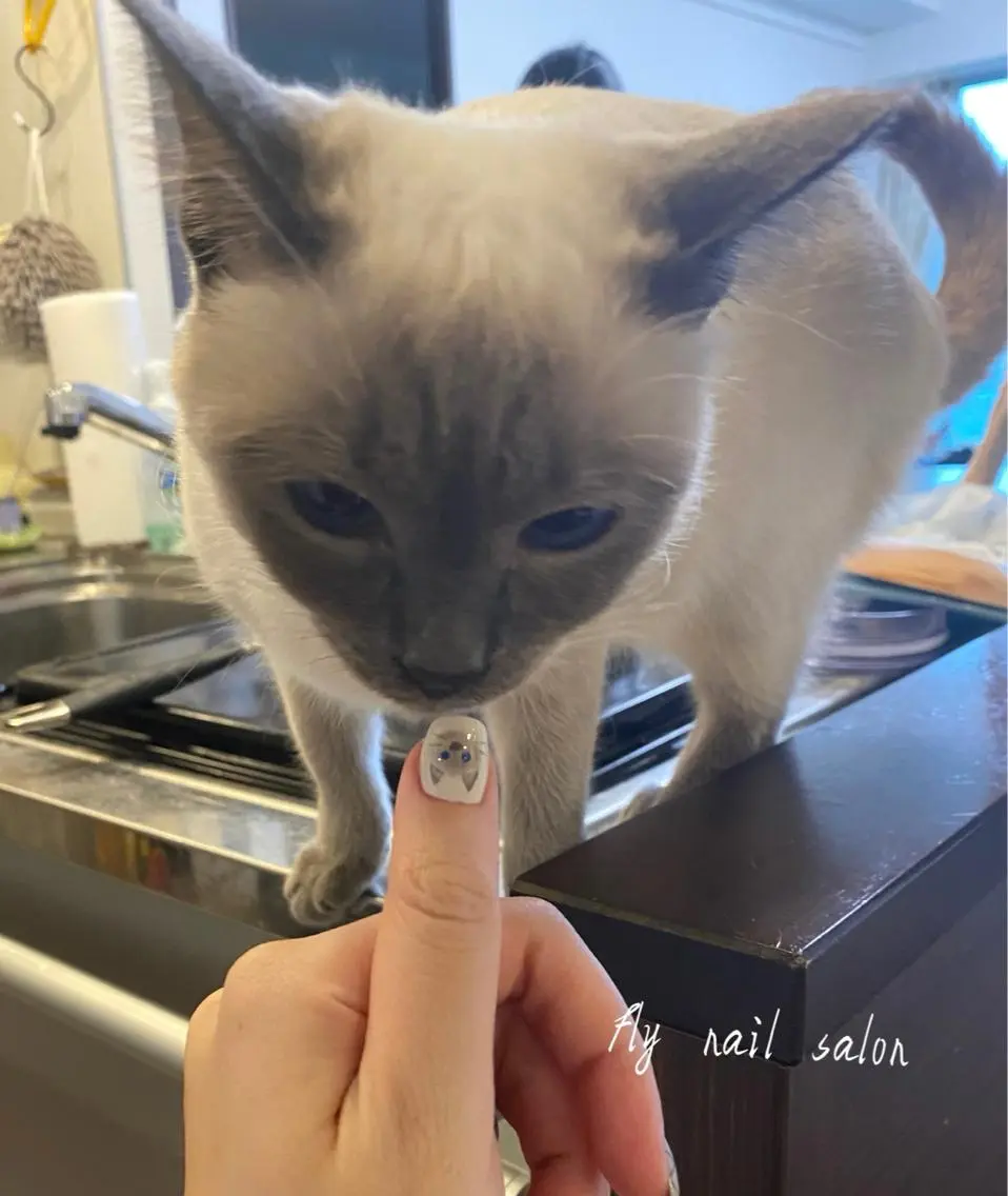 ネイル FLY Nail Salonのネイルデザイン