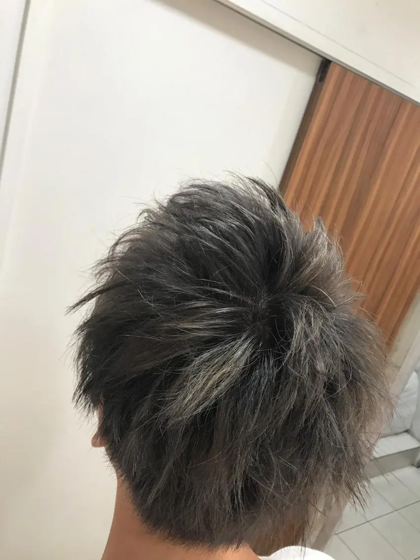ショート カラー メンズ シルバー 白髪ぼかしハイライト 柳川拓哉のヘアスタイル