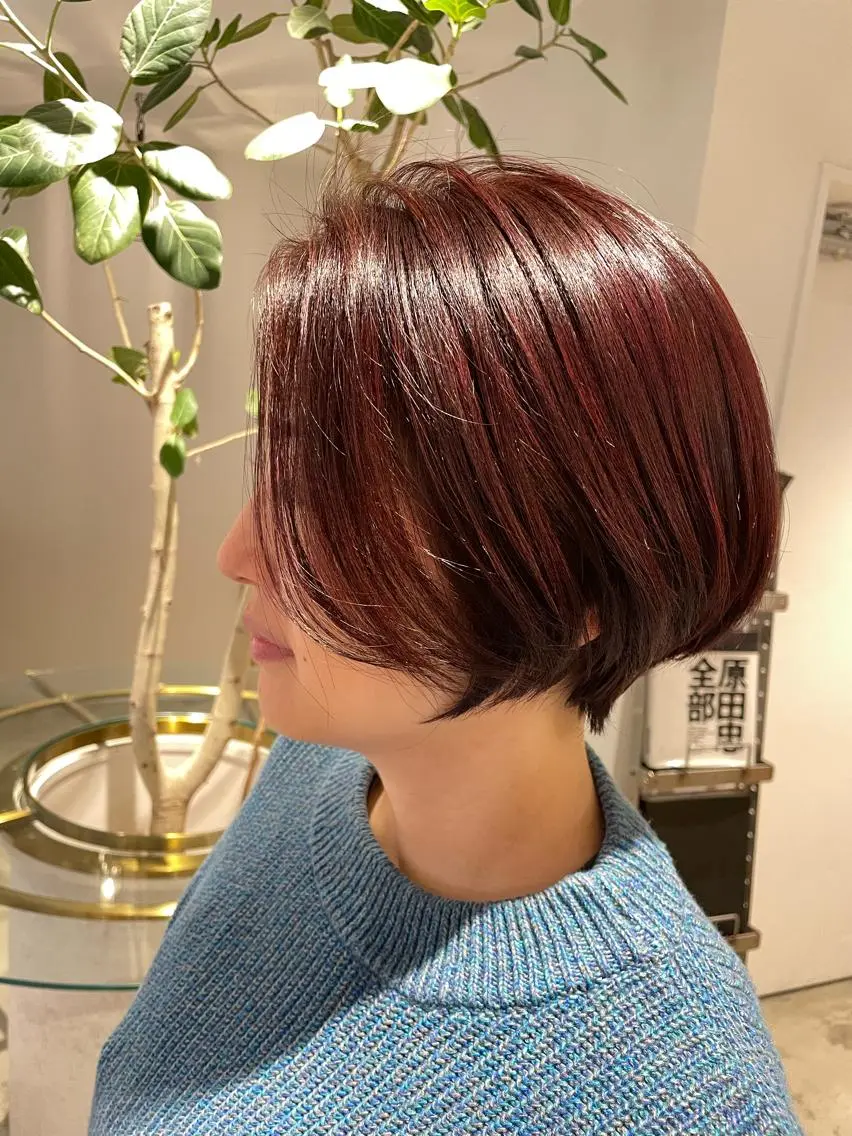 ショート カラー レッドカラー ショートヘア 透け感カラー/ SUのヘアスタイル