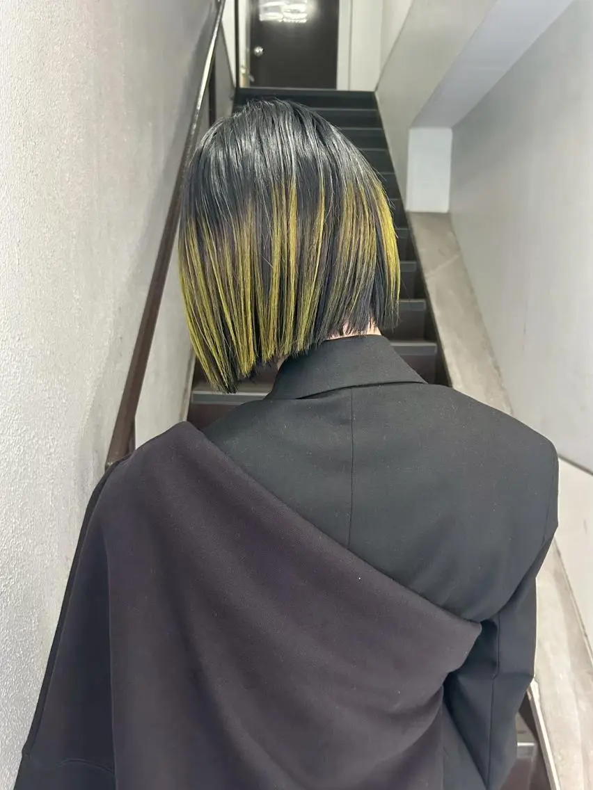 カラー 黒髪 デザインカラー インナーカラー カラー/レイヤー/ 髪質改善/PAAQのヘアスタイル