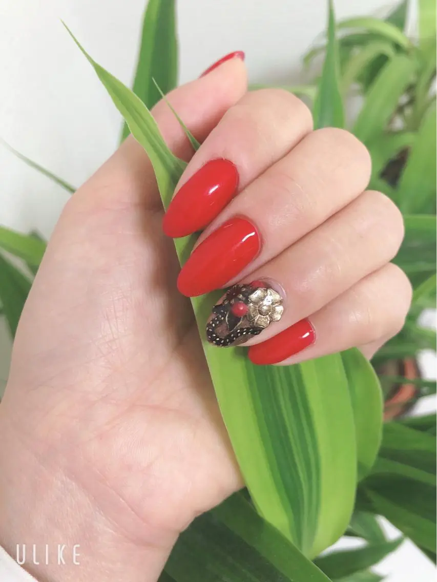 ネイル mano nella manoのネイルデザイン