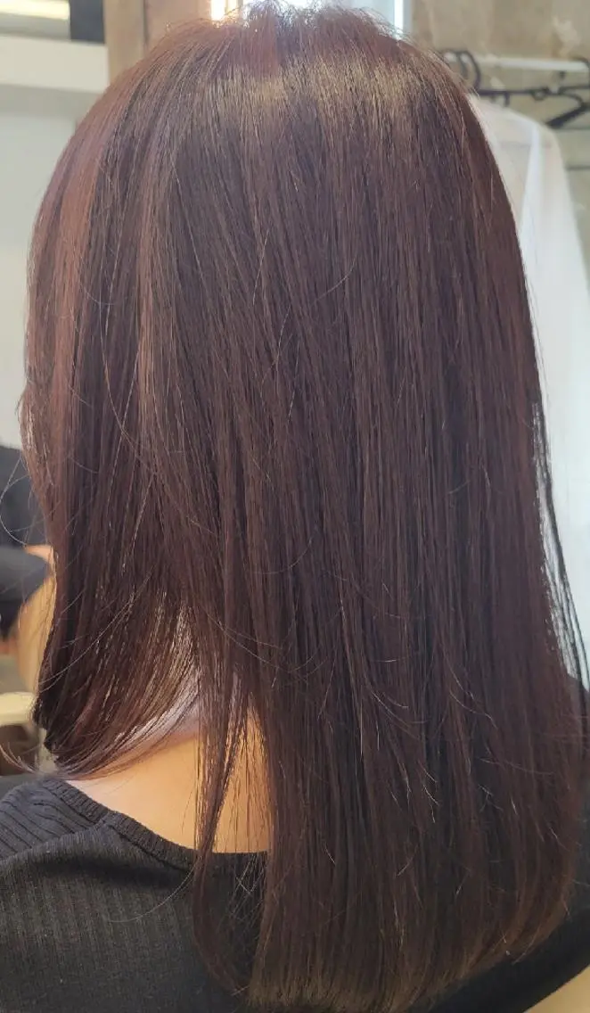 カラー セミロング アッシュ 透明感カラー ラベンダーカラー ラベンダーアッシュ 💐Romio綱島 大墨💐のヘアスタイル