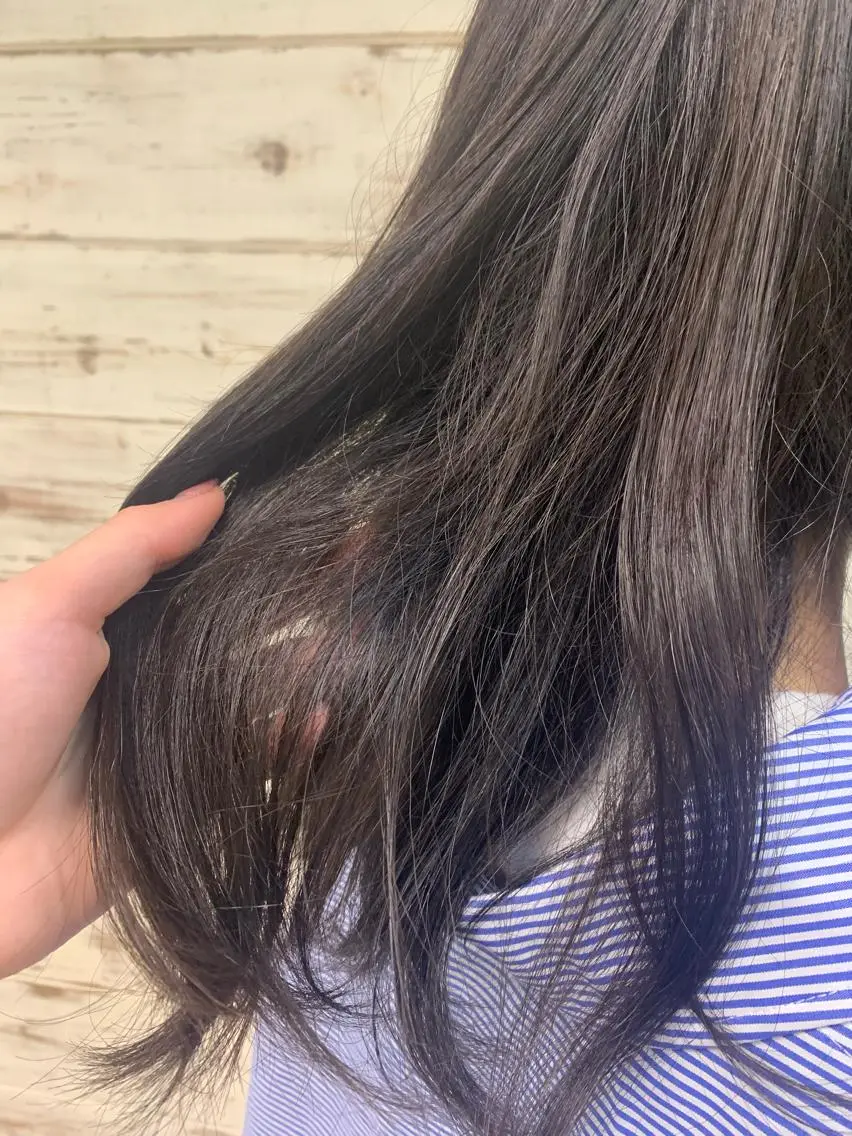 セミロング カラー ヘアアレンジ 🫧ヒシダアキ taboo.i🫧のヘアスタイル